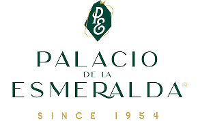Logo palacio Footer